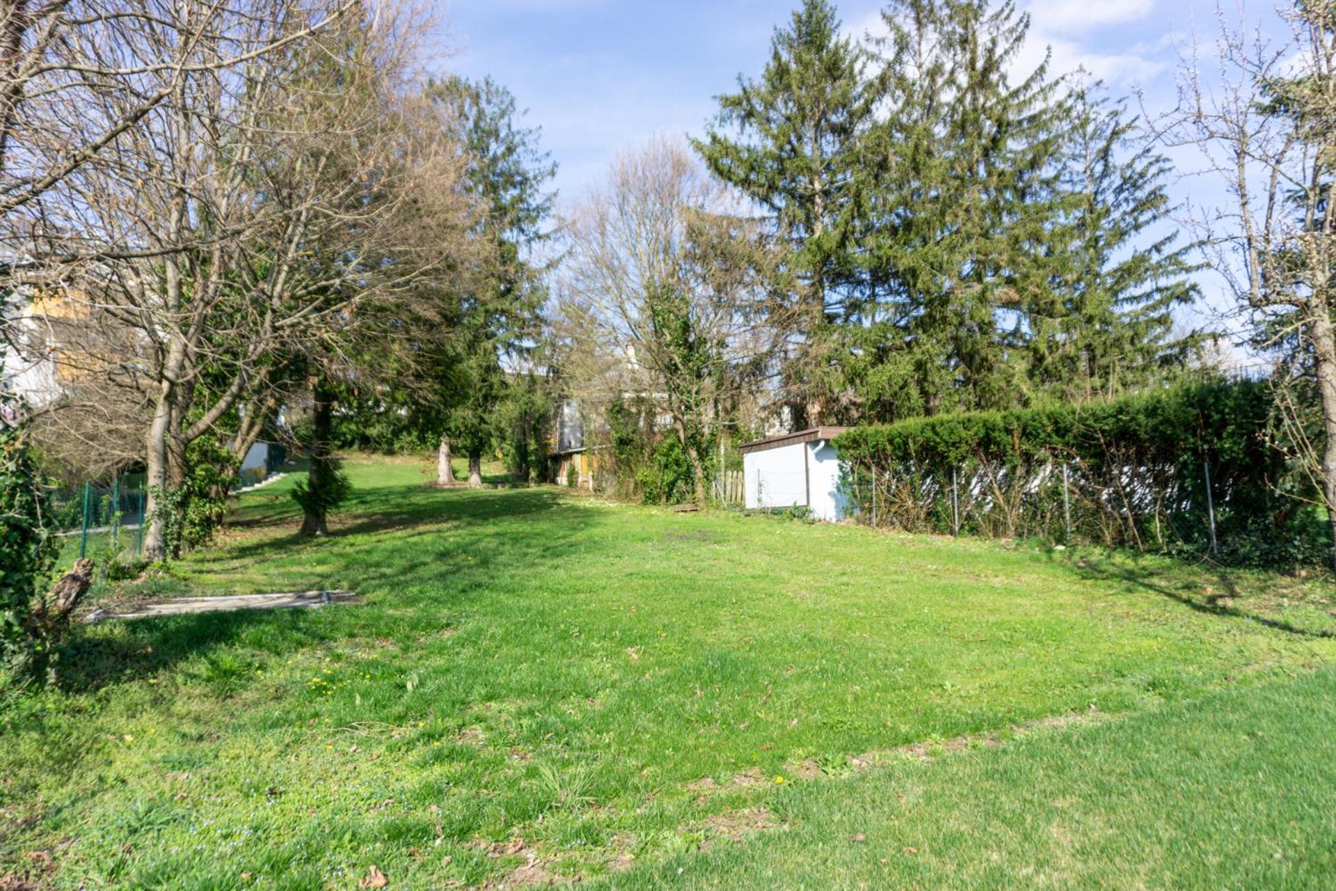 Next To Stadion, Near To Lainzer Tiergarten Appartement *